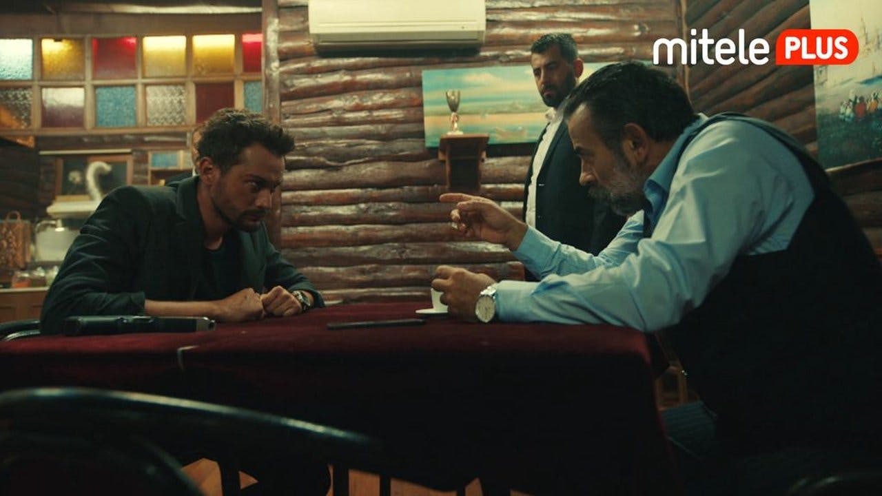 assista ao episódio 29 da temporada 1