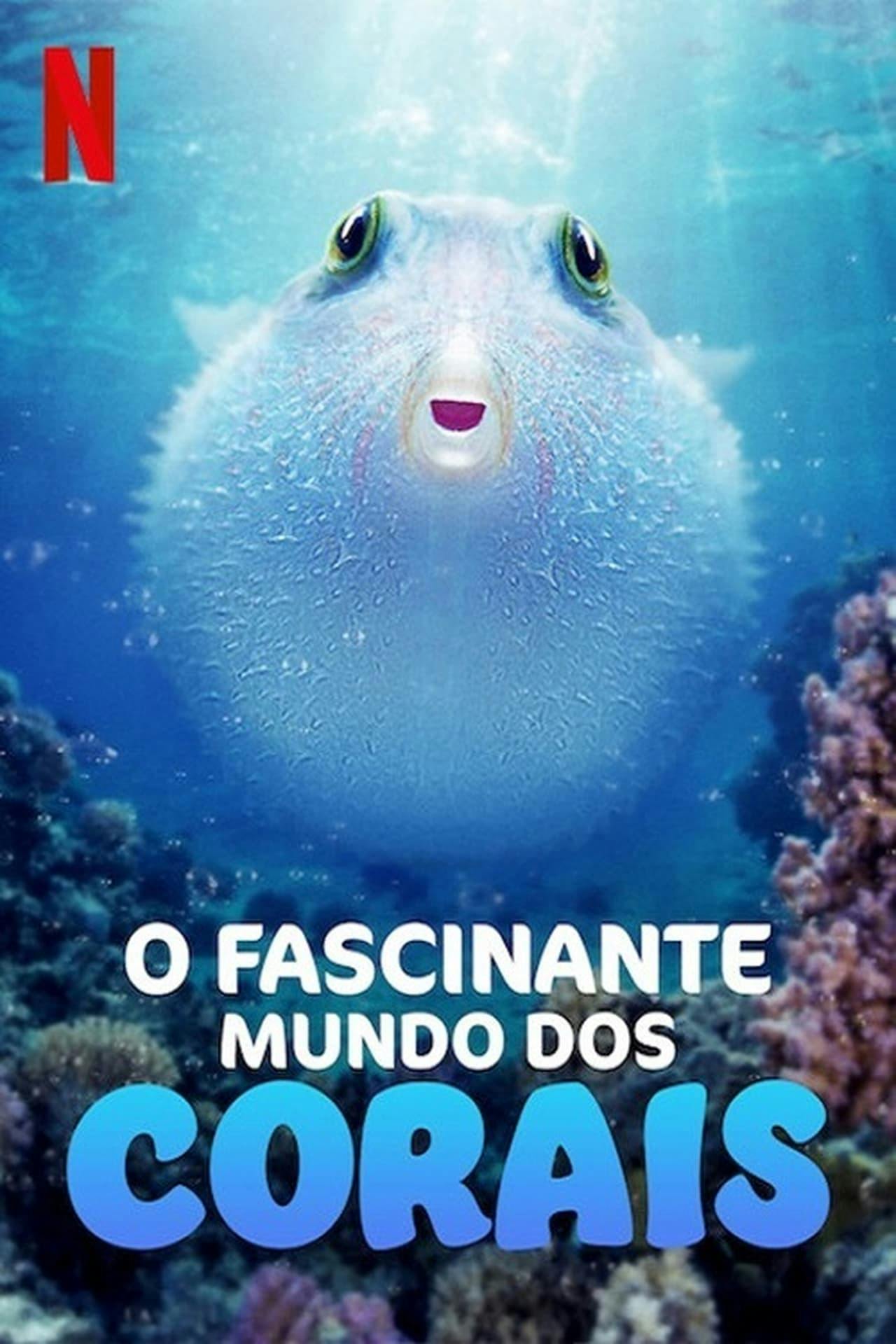 Assistir O Fascinante Mundo dos Corais Online em HD