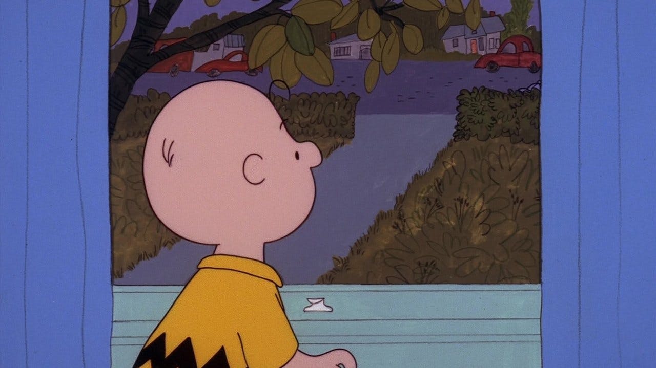 Volte para Casa, Snoopy