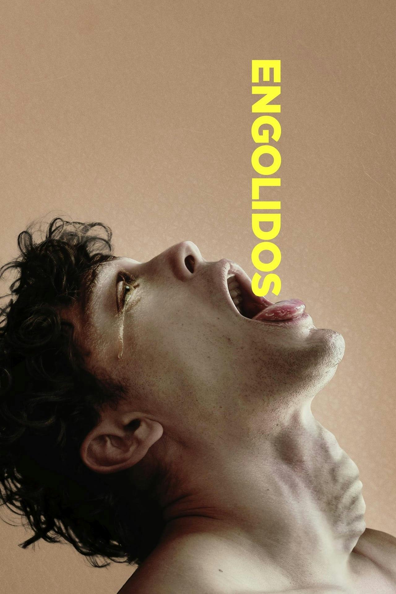 Assistir Engolidos Online em HD