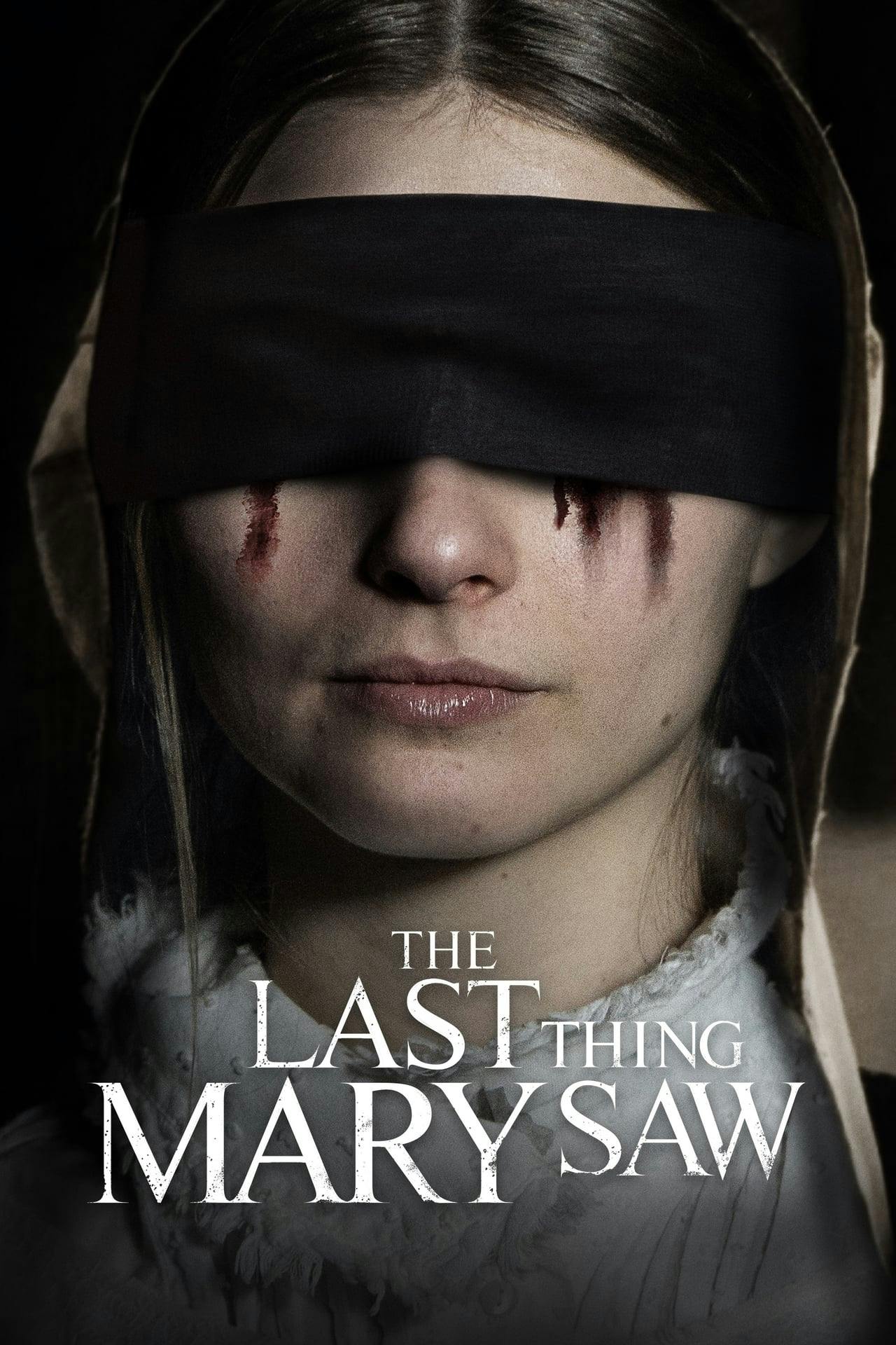 Assistir The Last Thing Mary Saw Online em HD