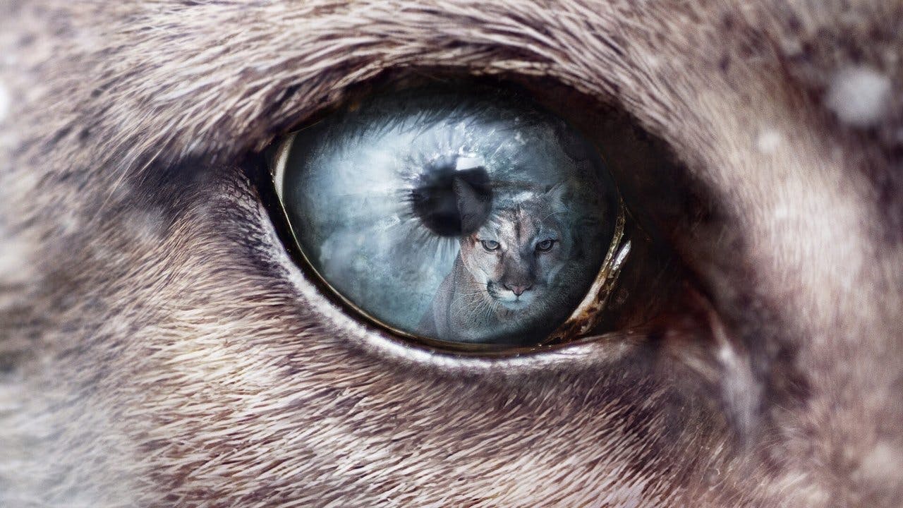 assista ao episódio 4 da temporada 1
