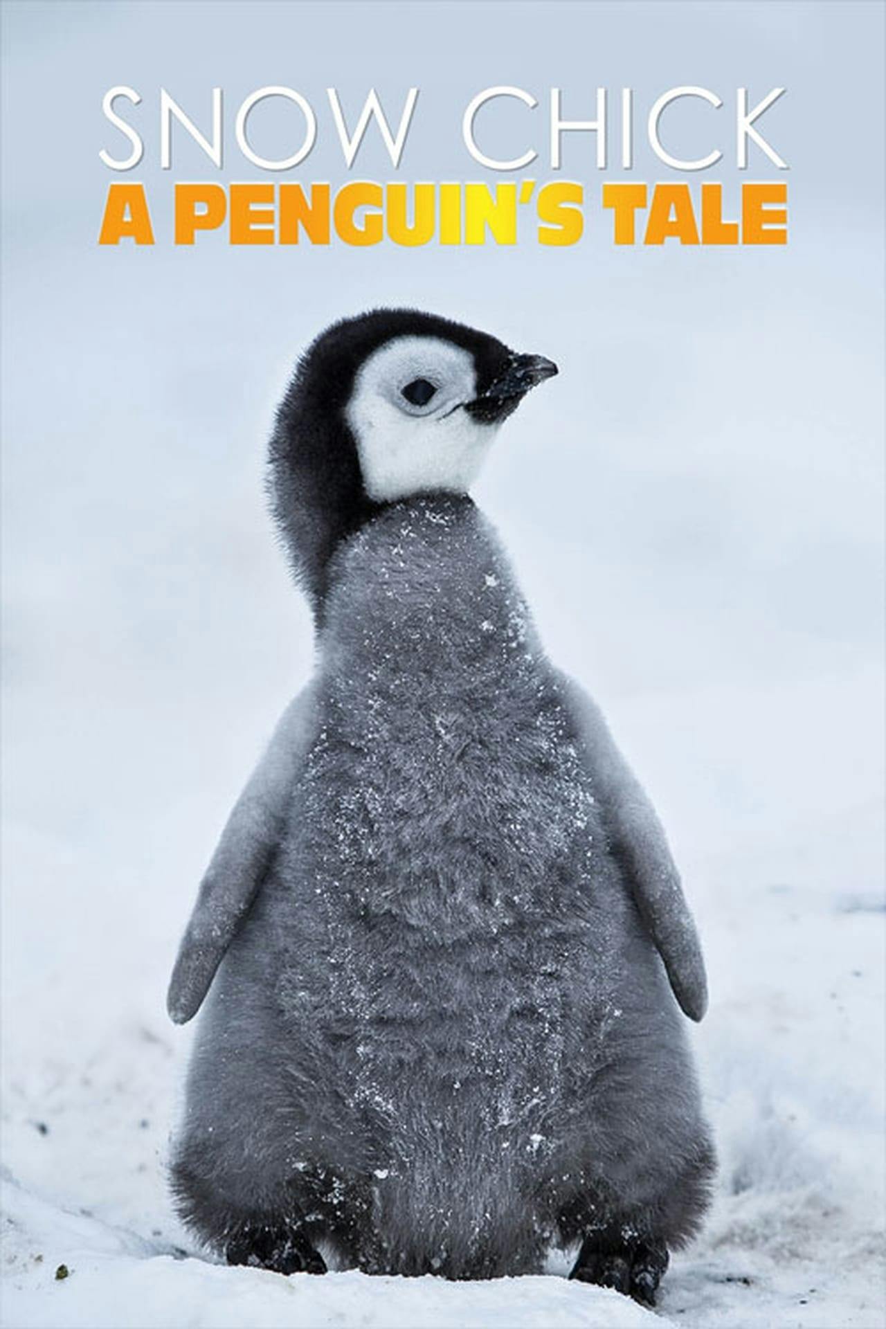 Assistir Snow Chick – A Penguin’s Tale Online em HD