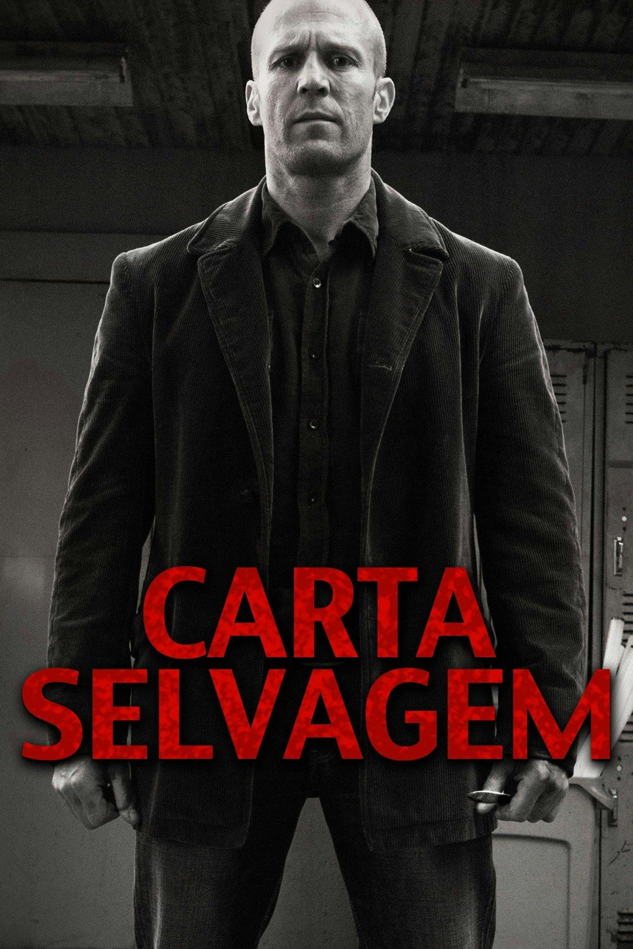 Assistir Carta Selvagem Online em HD