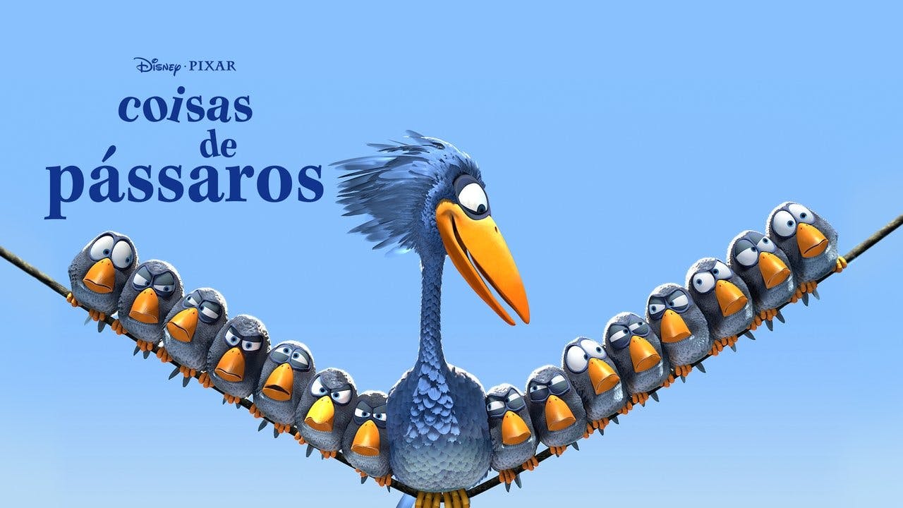 Coisas de Pássaros