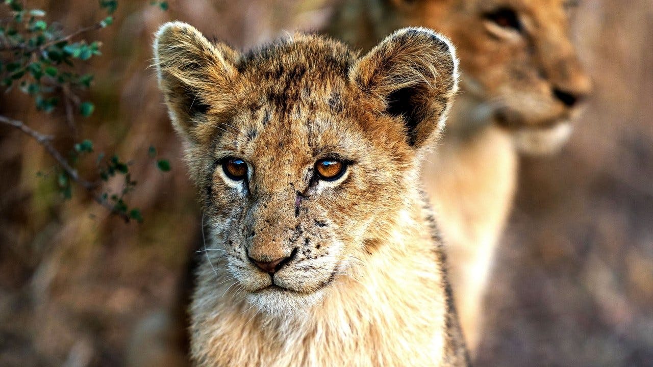 assista ao episódio 6 da temporada 1