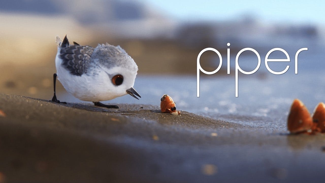Piper: Descobrindo o Mundo