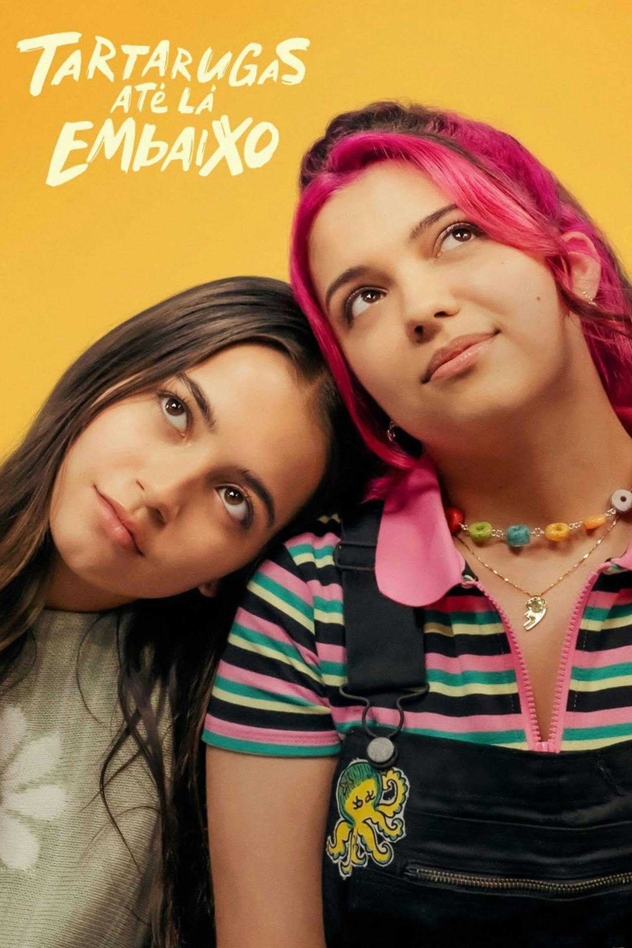 Assistir Tartarugas Até Lá Embaixo Online em HD