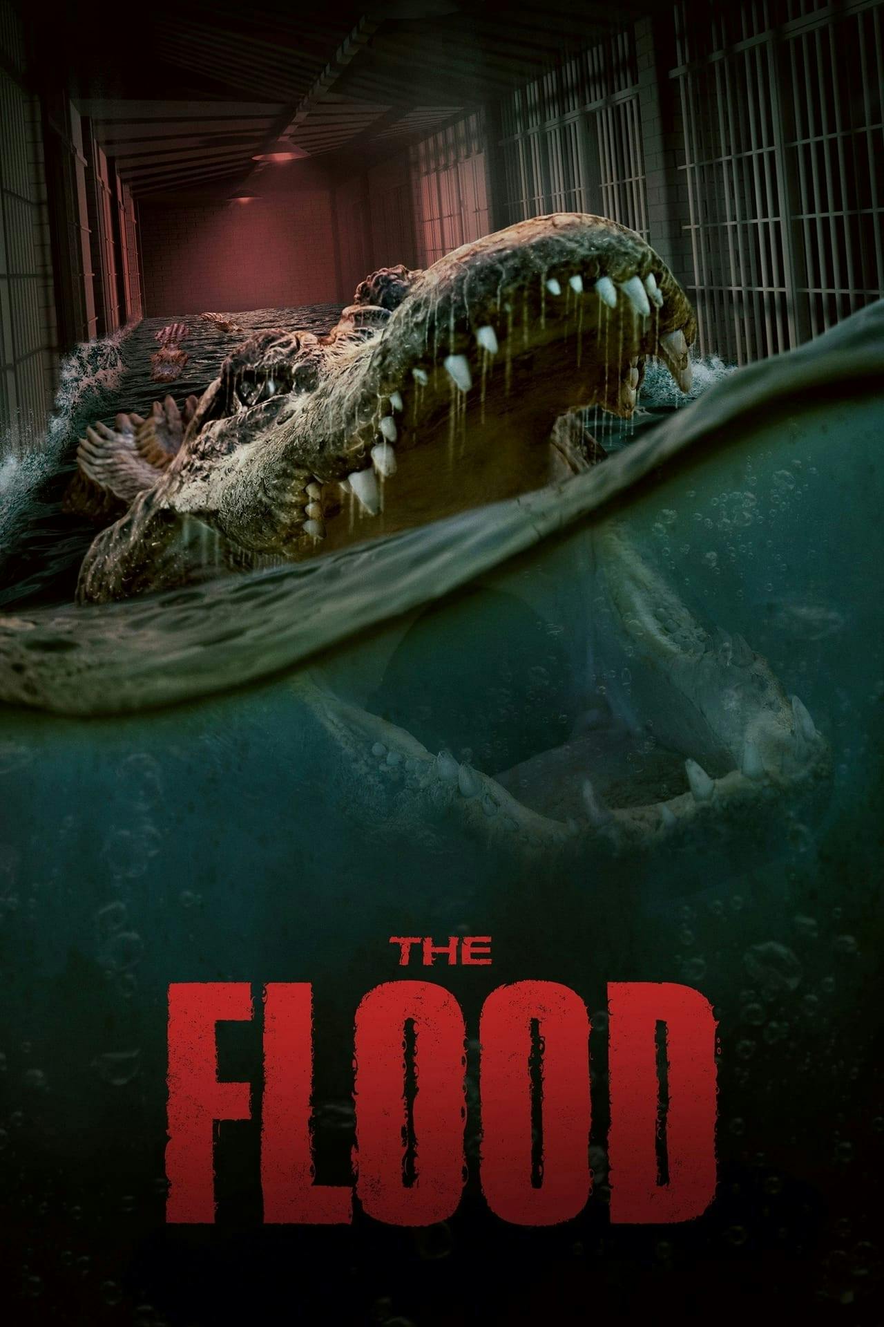 Assistir The Flood Online em HD