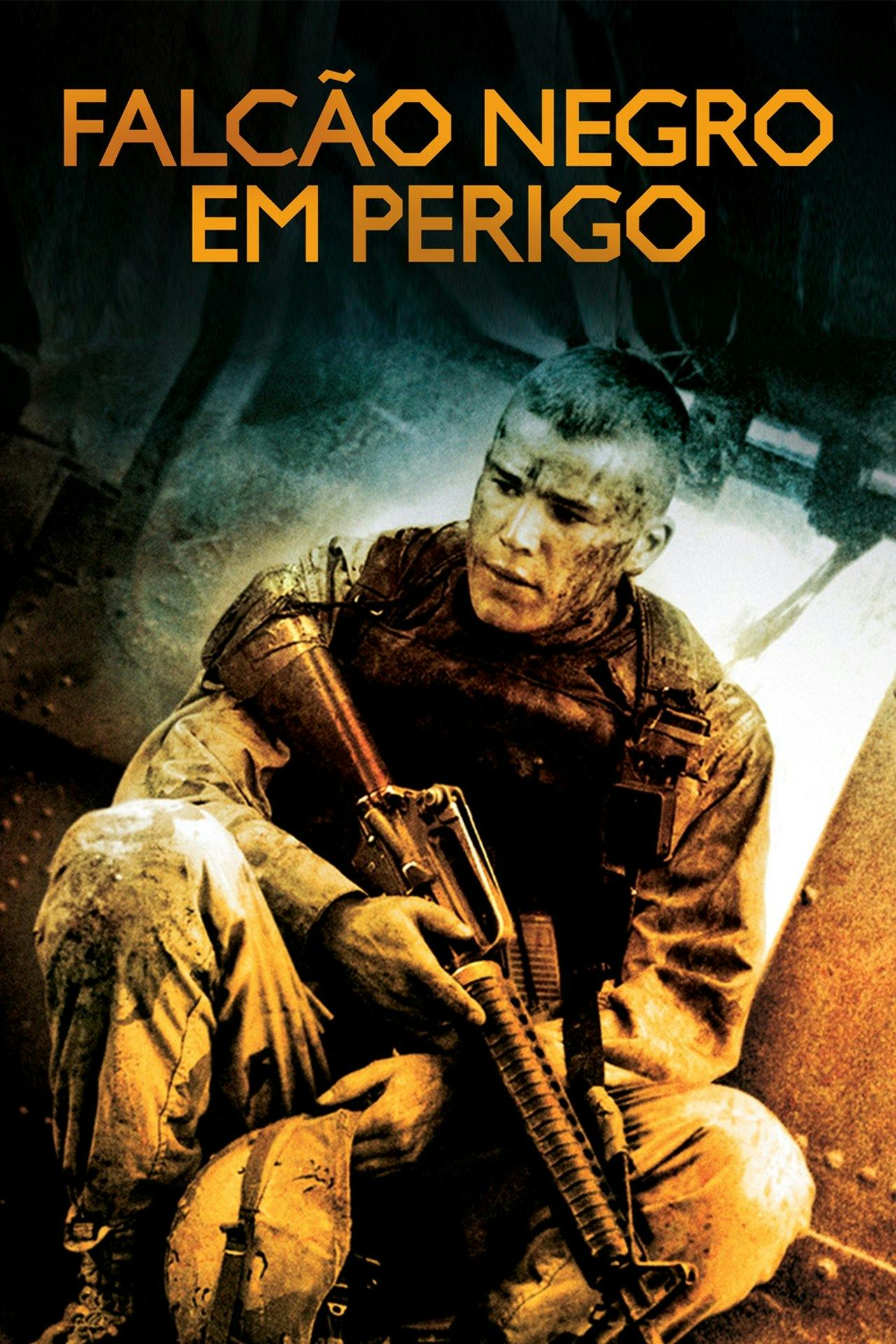 Assistir Falcão Negro em Perigo Online em HD