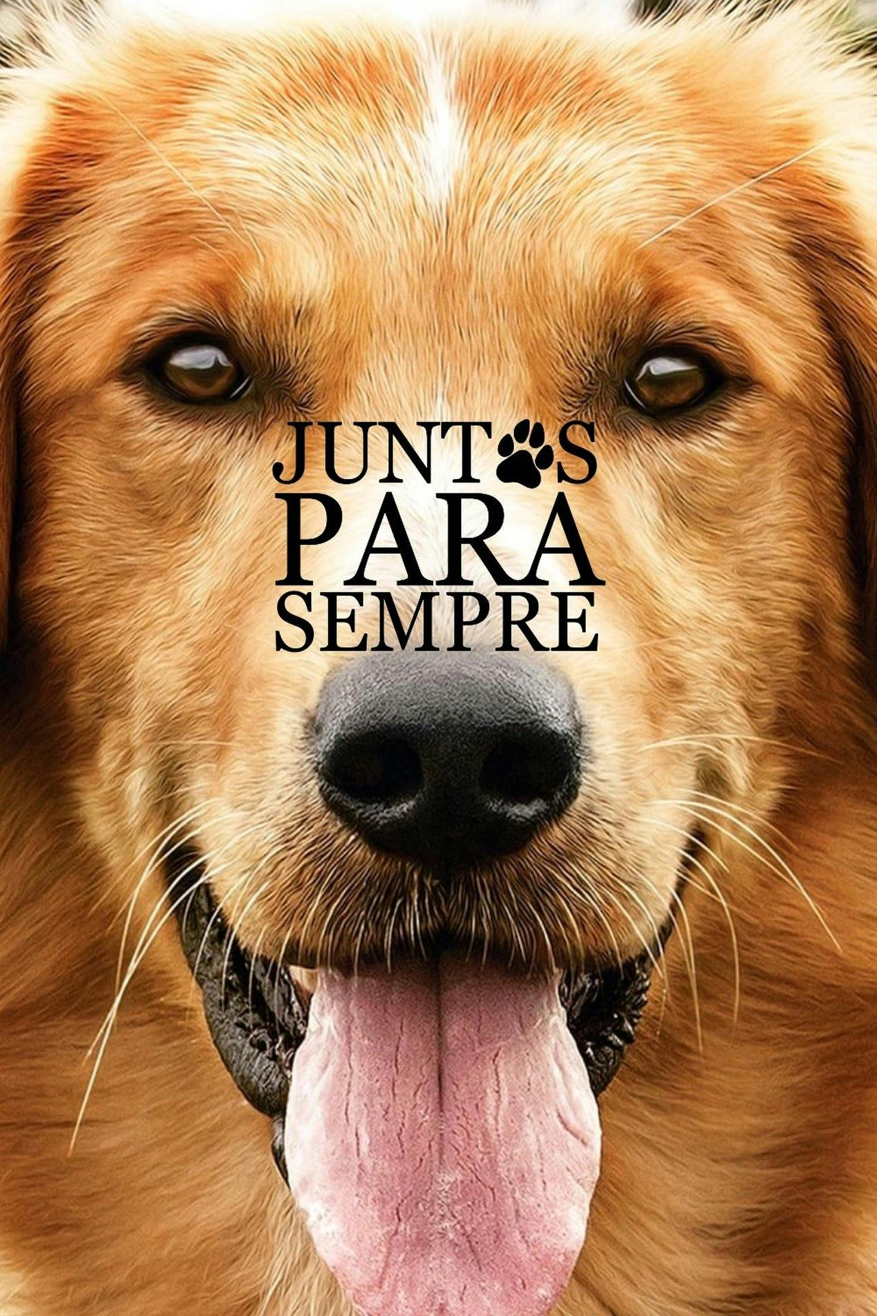 Assistir Quatro Vidas de um Cachorro Online em HD
