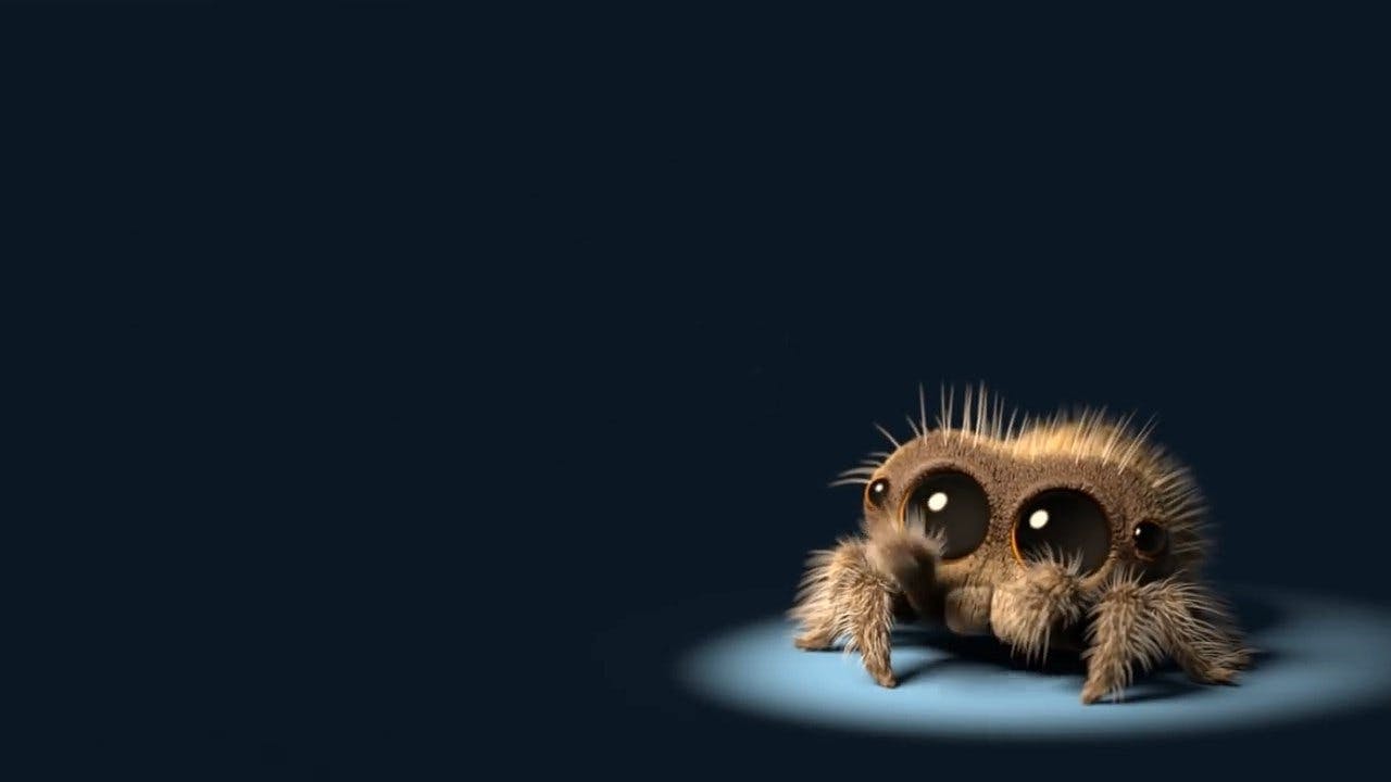 Lucas, a Aranha