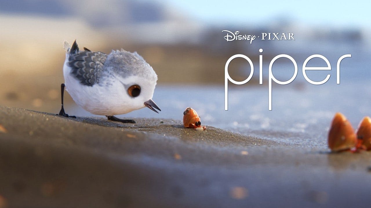 Piper: Descobrindo o Mundo