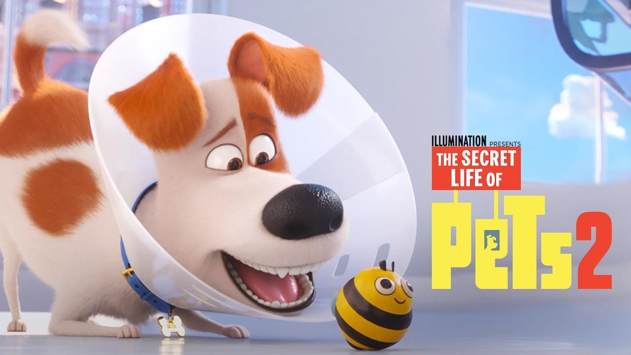 Pets: A Vida Secreta dos Bichos 2