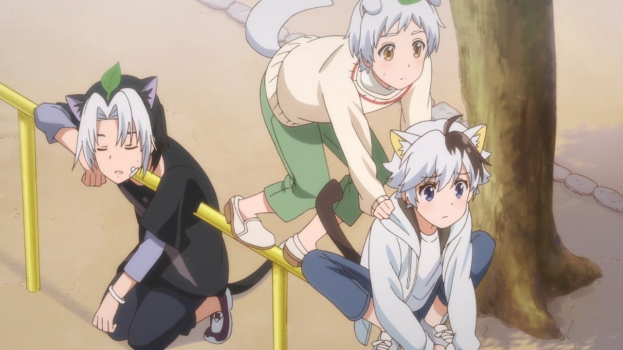 Uchi Tama?! Uchi no Tama Shirimasen ka?