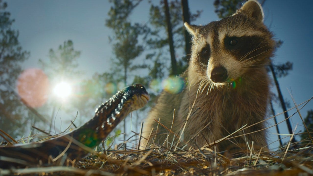 assista ao episódio 1 da temporada 1