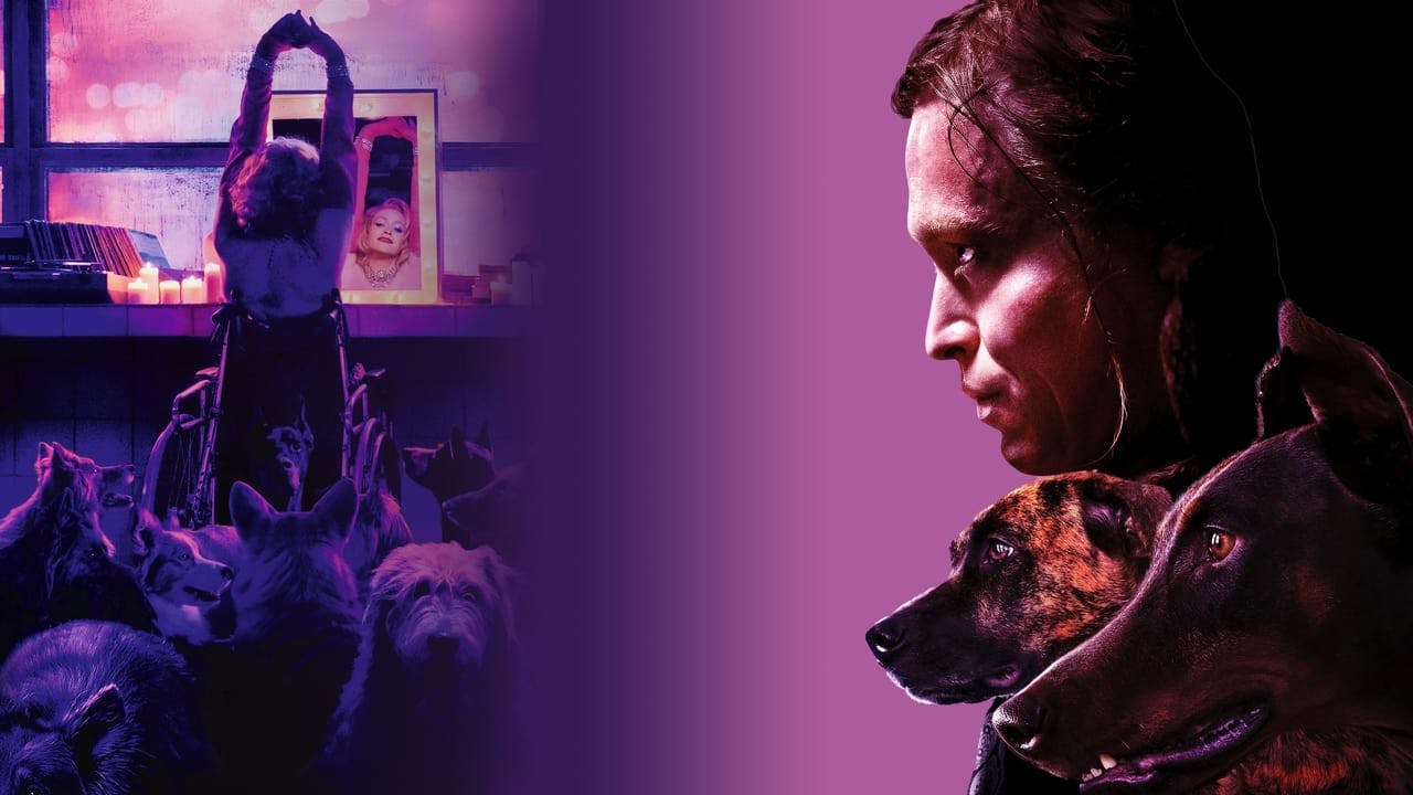 Dogman assista online