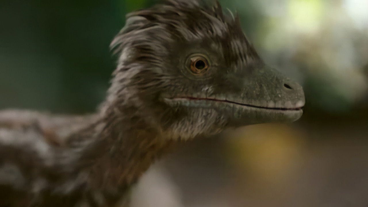 assista ao episódio 1 da temporada 1