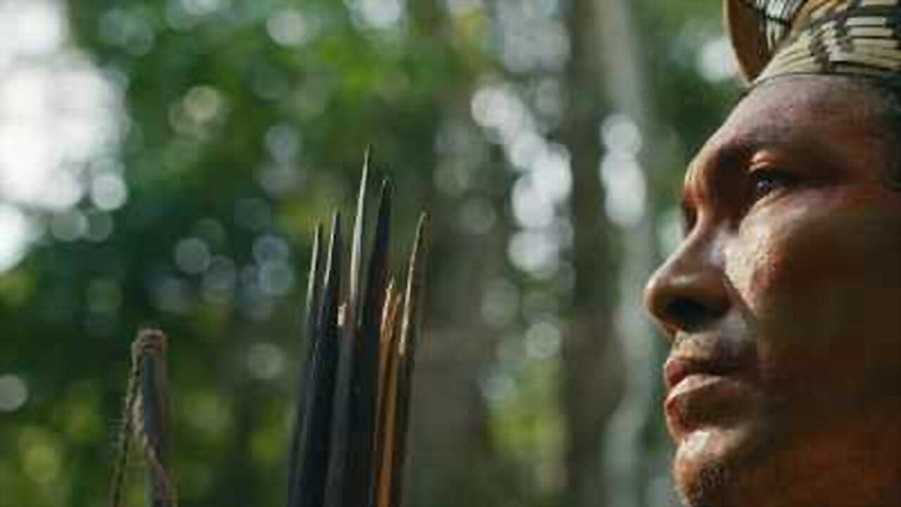 Biocêntricos assista online