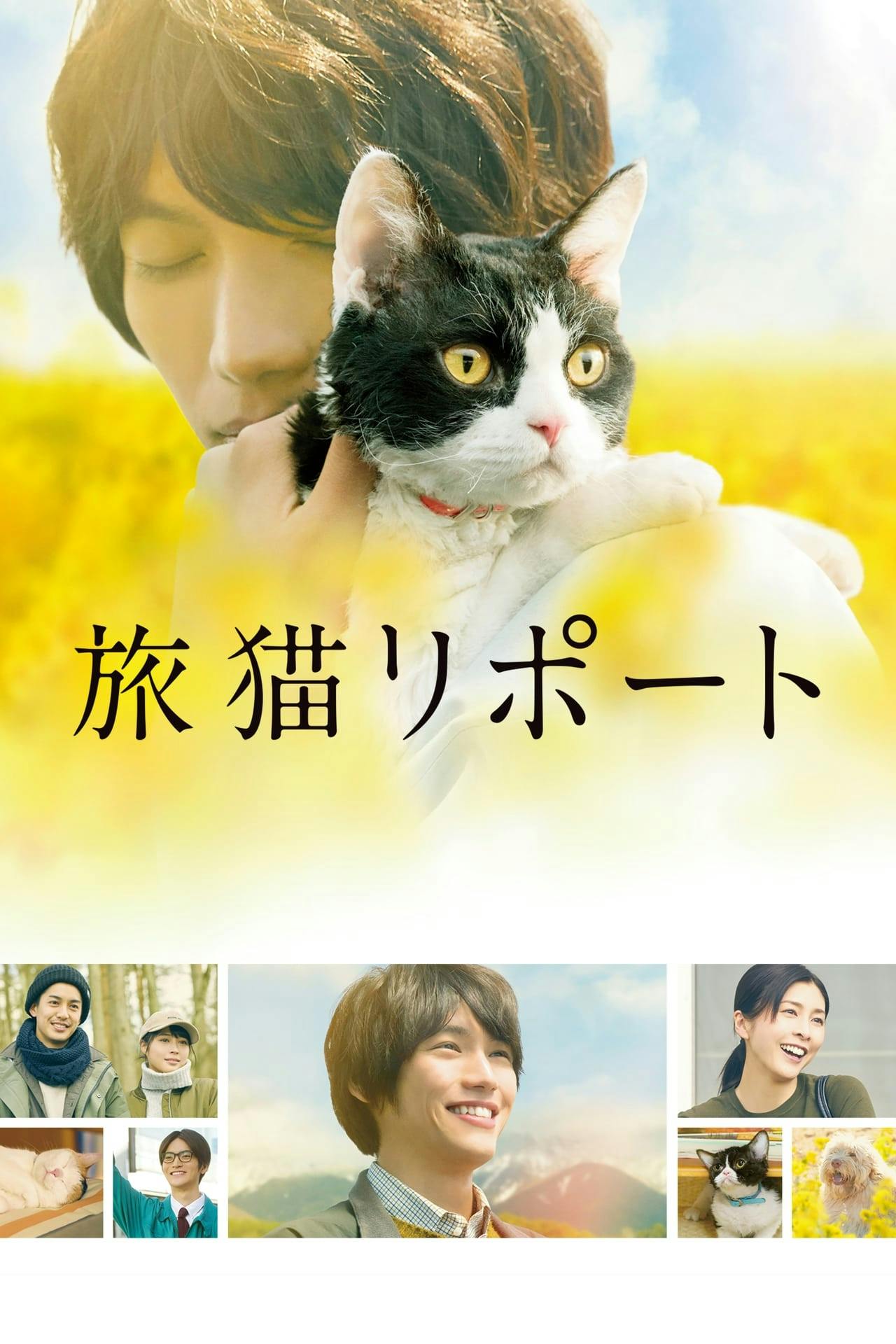 Assistir The Travelling Cat Chronicles Online em HD