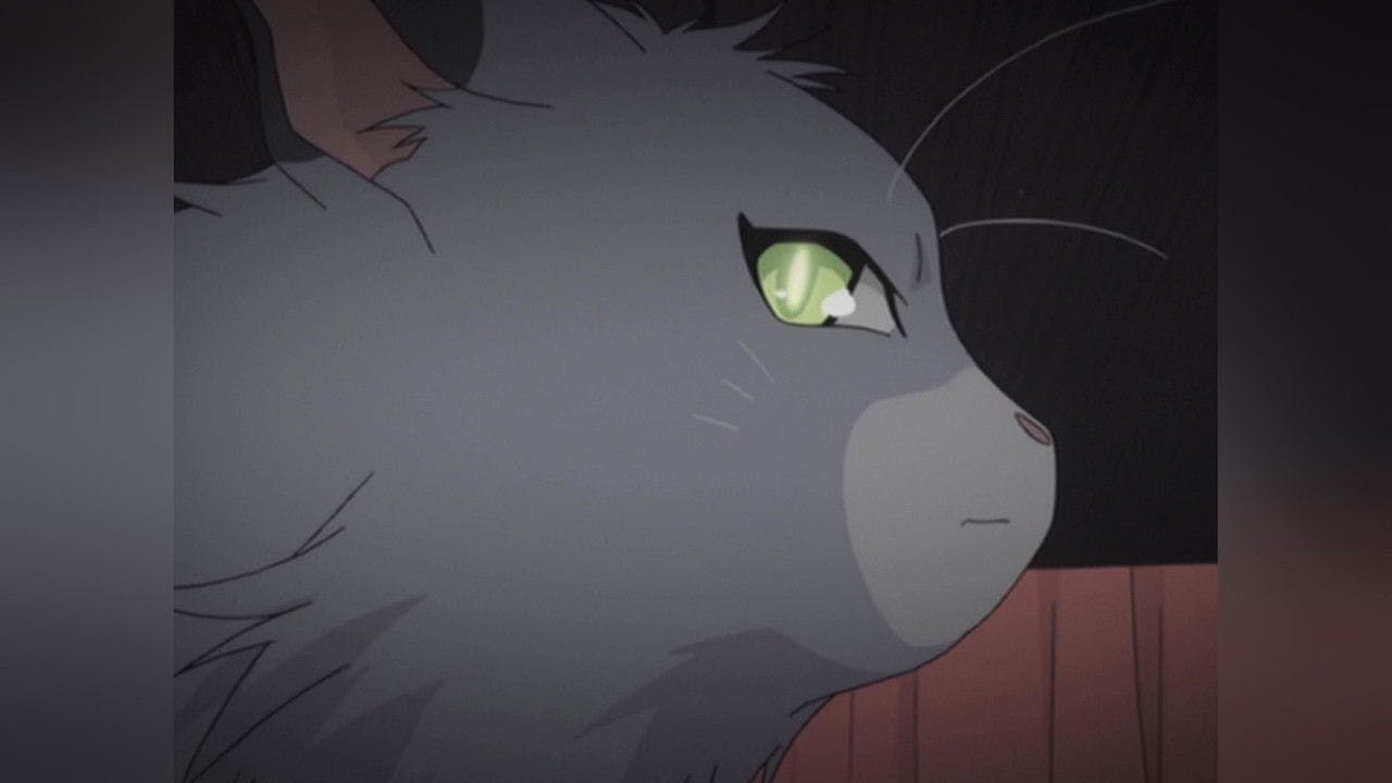 assista ao episódio 9 da temporada 1