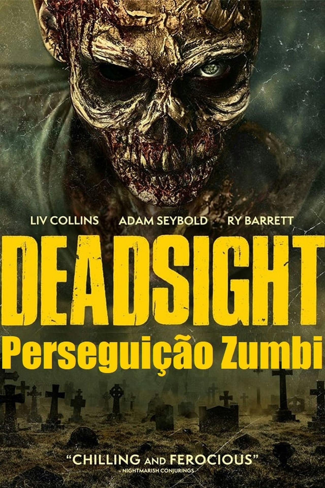 Assistir Perseguição Zumbi Online em HD