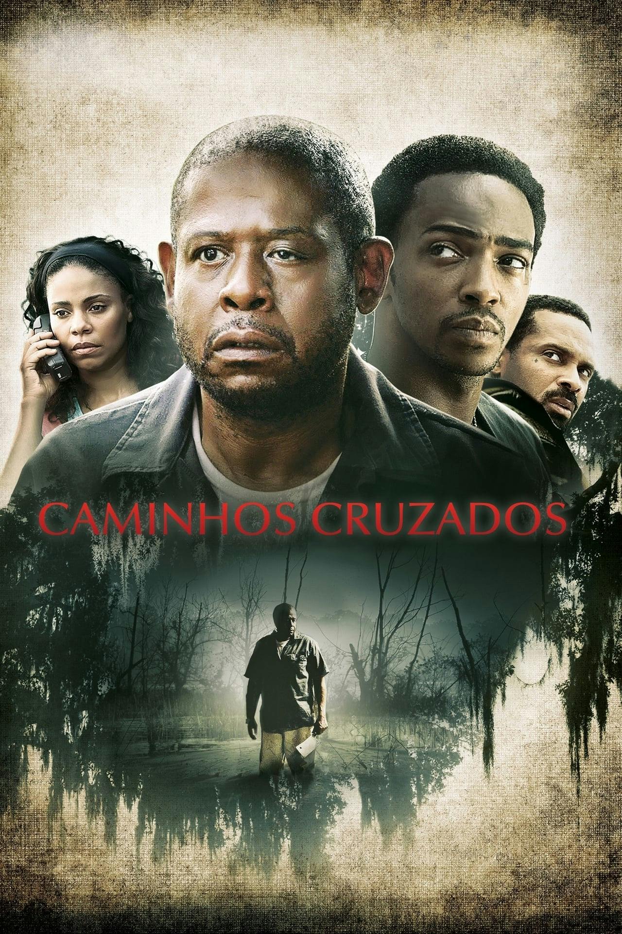 Assistir Caminhos Cruzados Online em HD