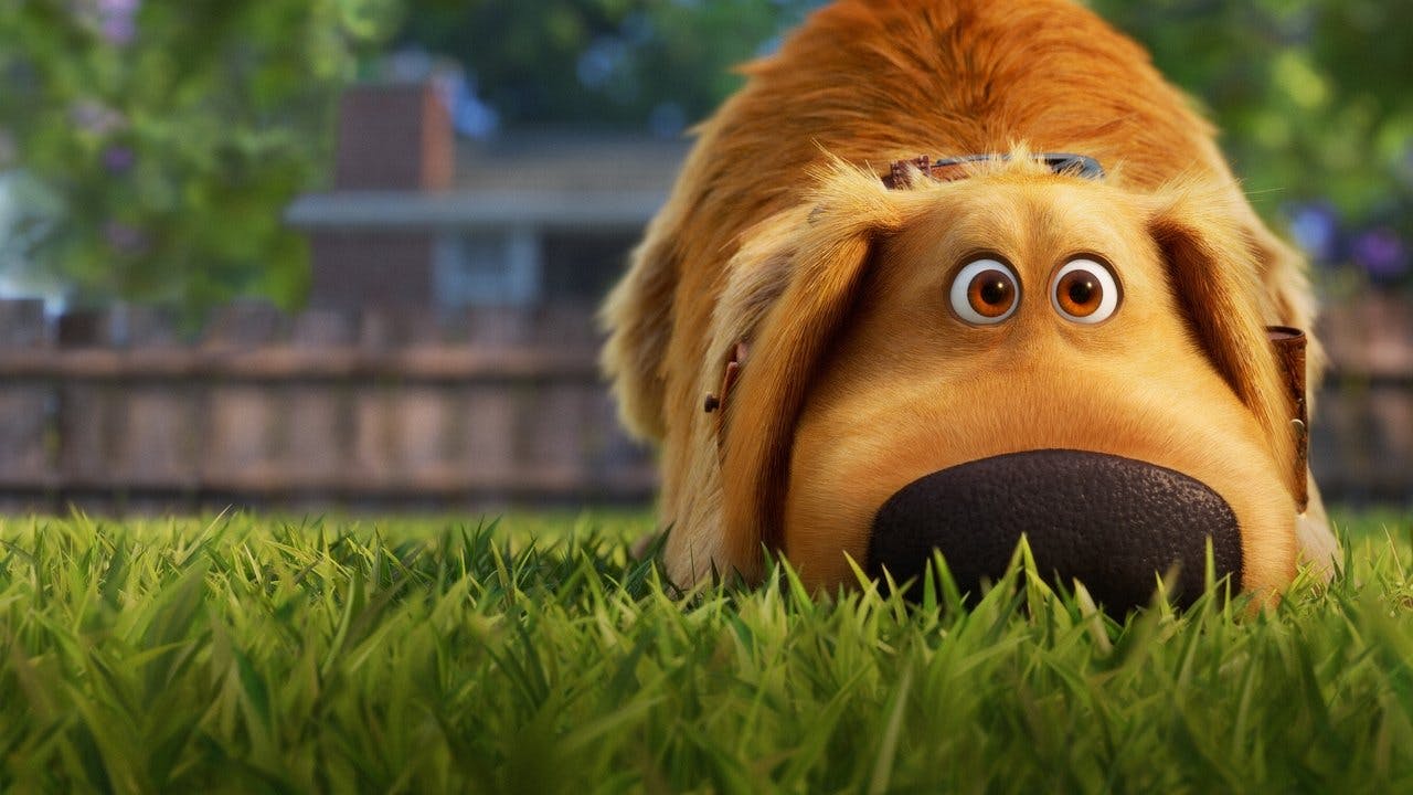 A Vida de Dug