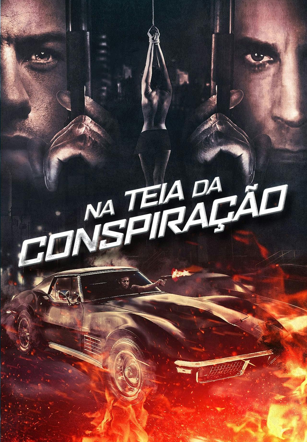 Assistir Na Teia da Conspiração Online em HD