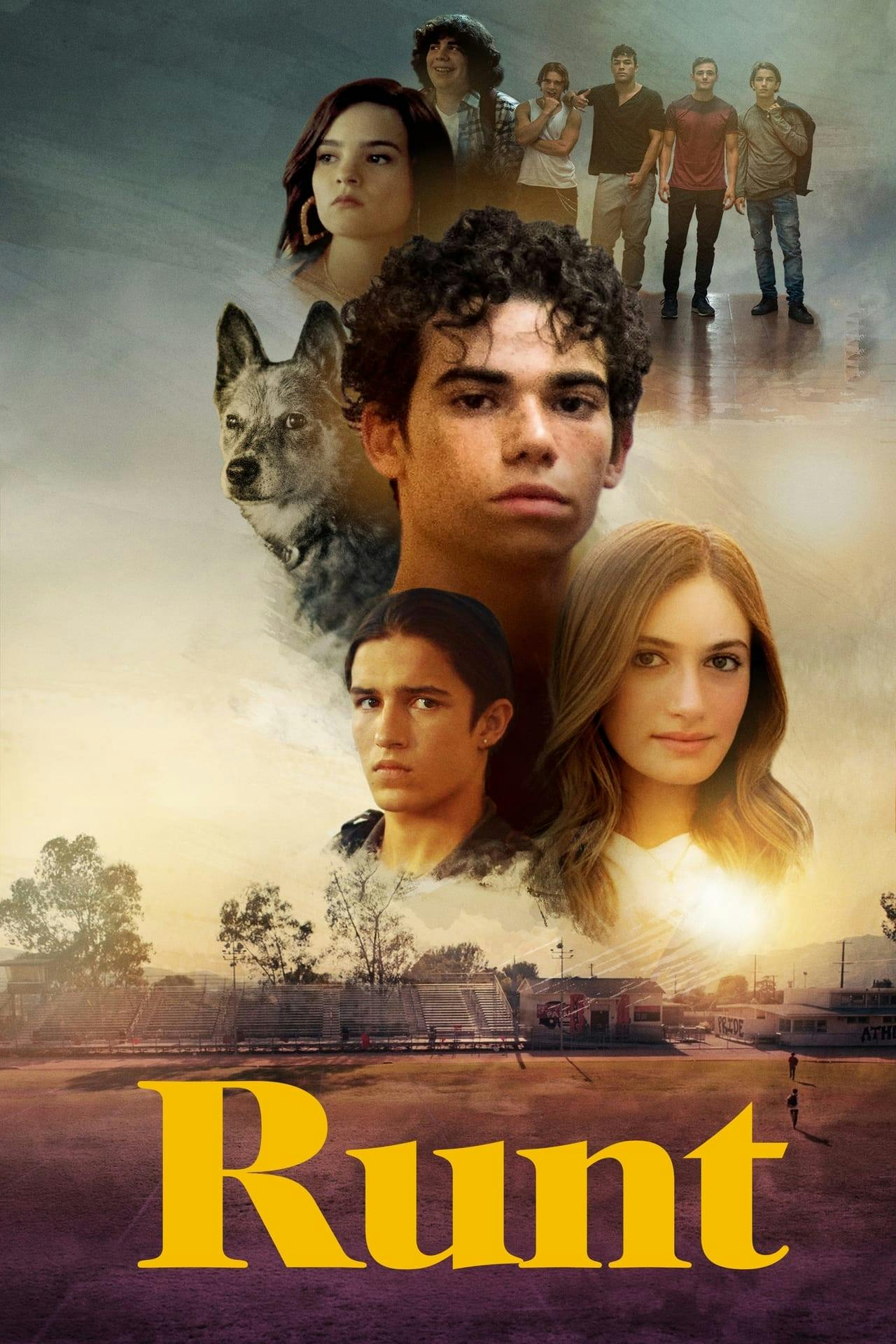Assistir Runt Online em HD