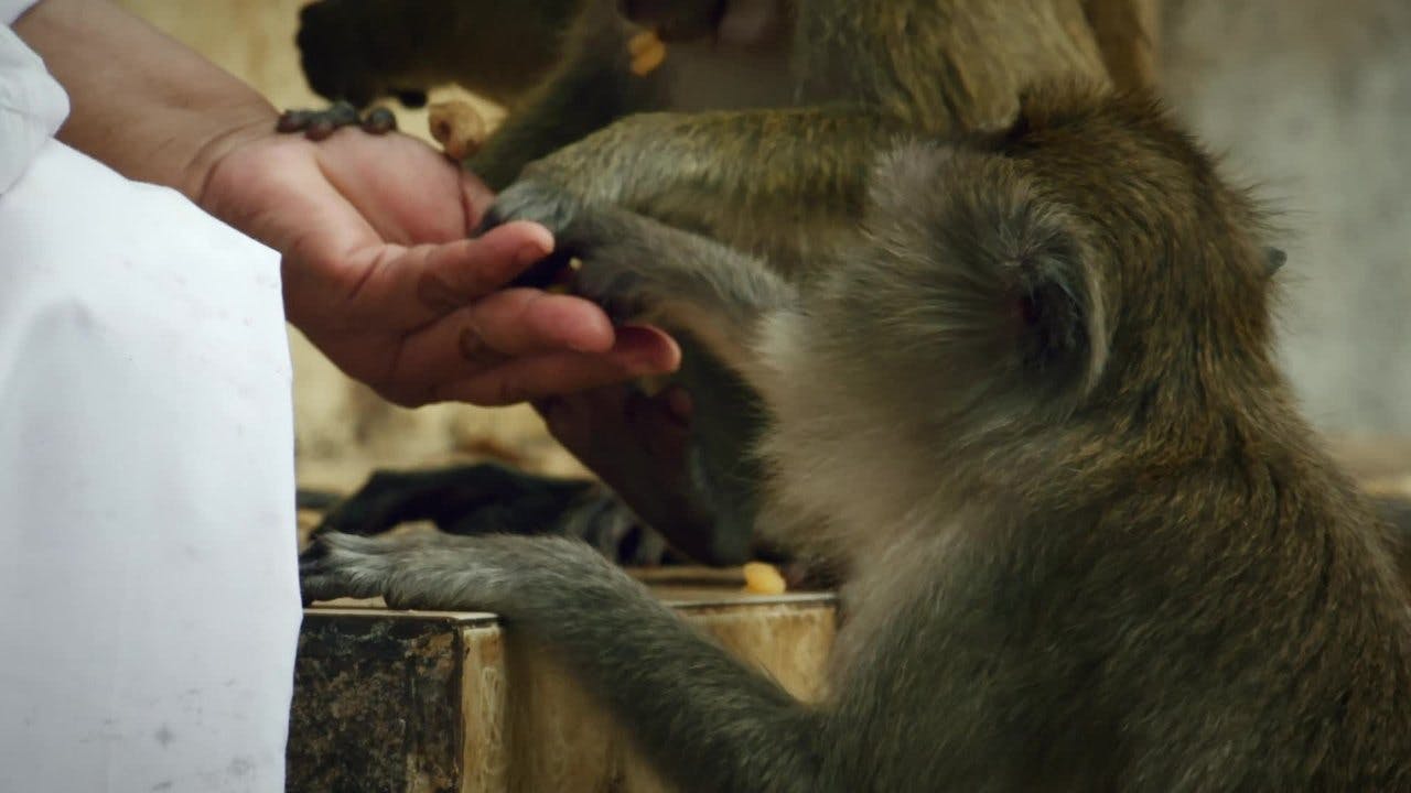 assista ao episódio 1 da temporada 1