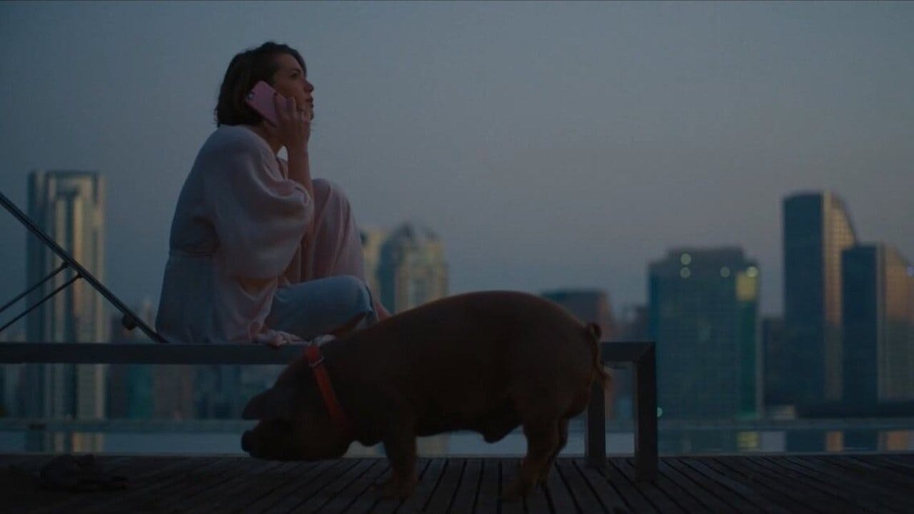 assista ao episódio 16 da temporada 1