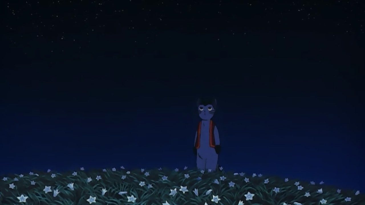 Viagem Noturna no Trem da Via Láctea