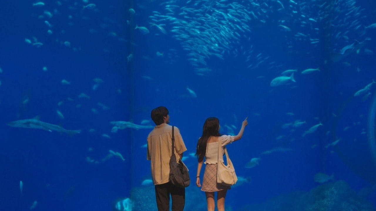 assista ao episódio 2 da temporada 1