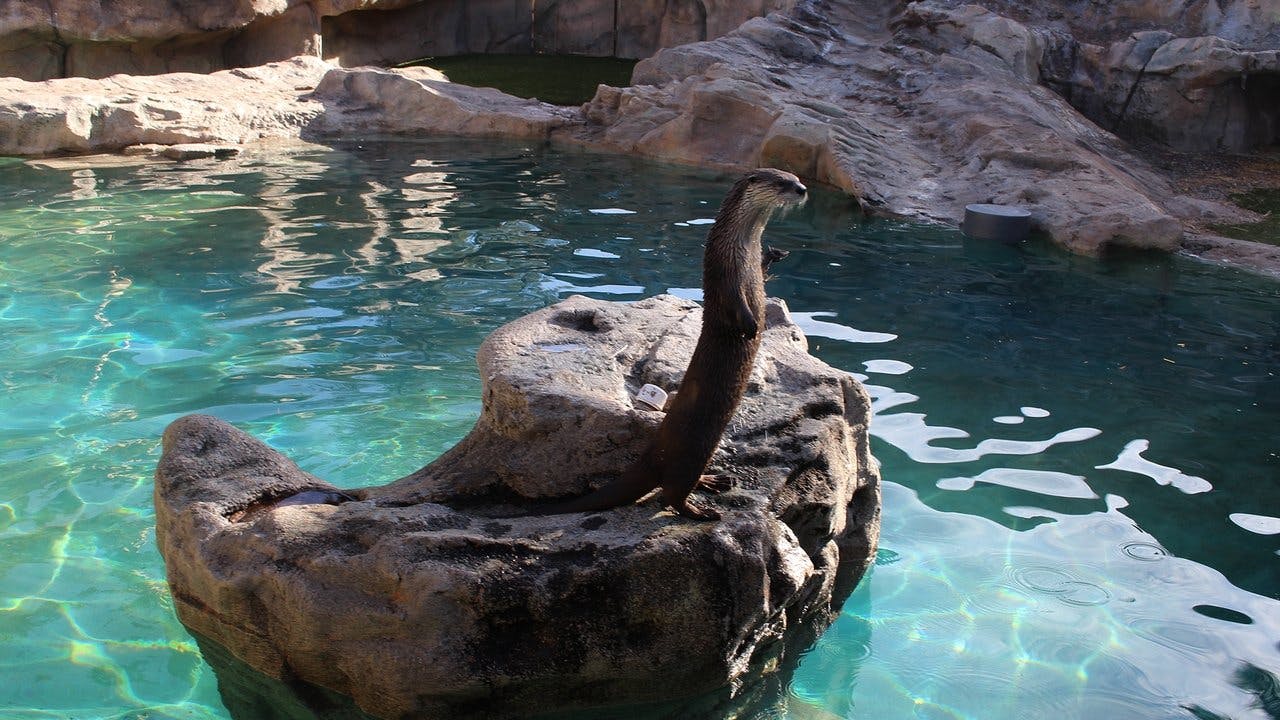 assista ao episódio 8 da temporada 1