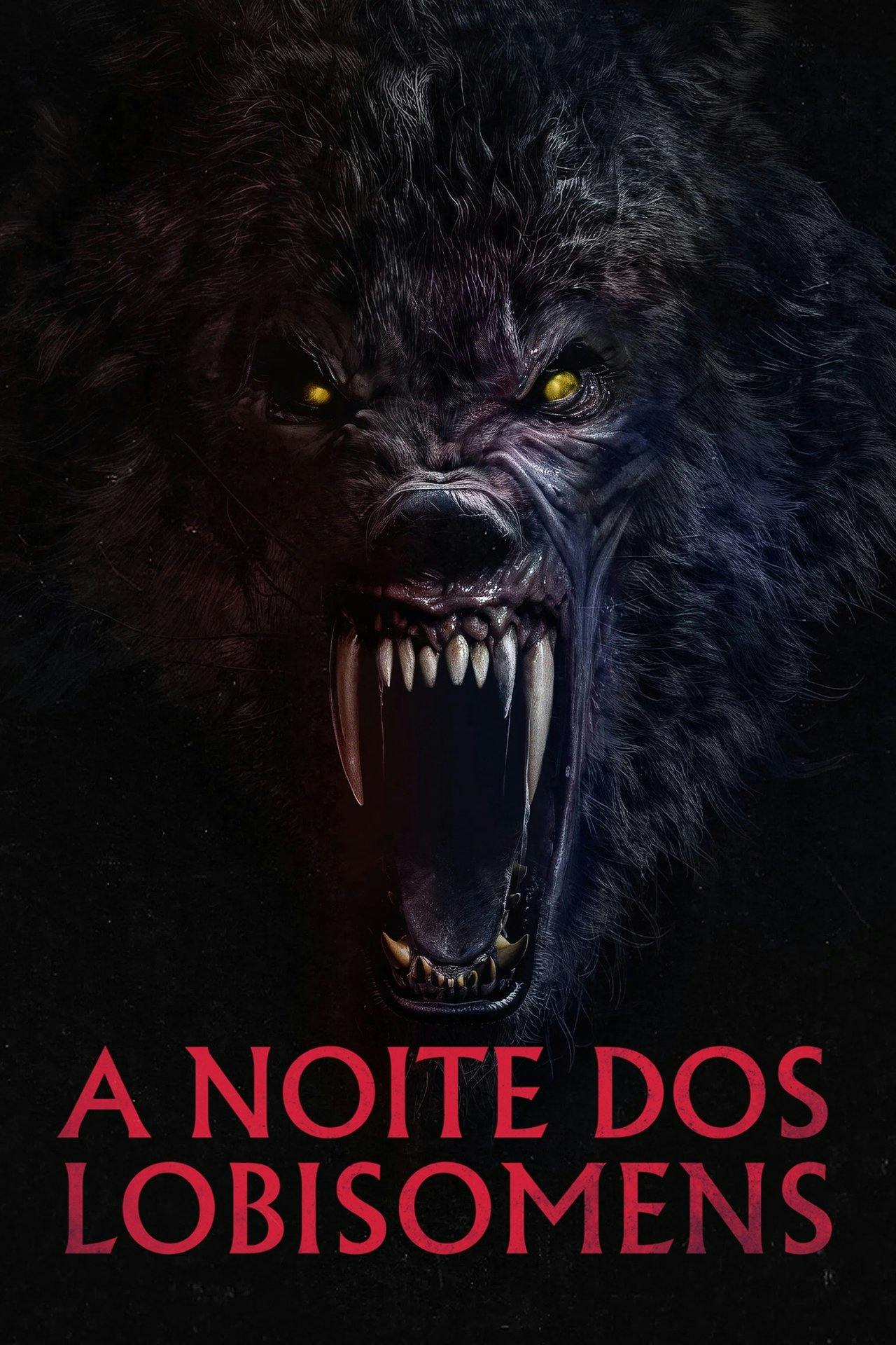 Assistir A Noite dos Lobisomens Online em HD