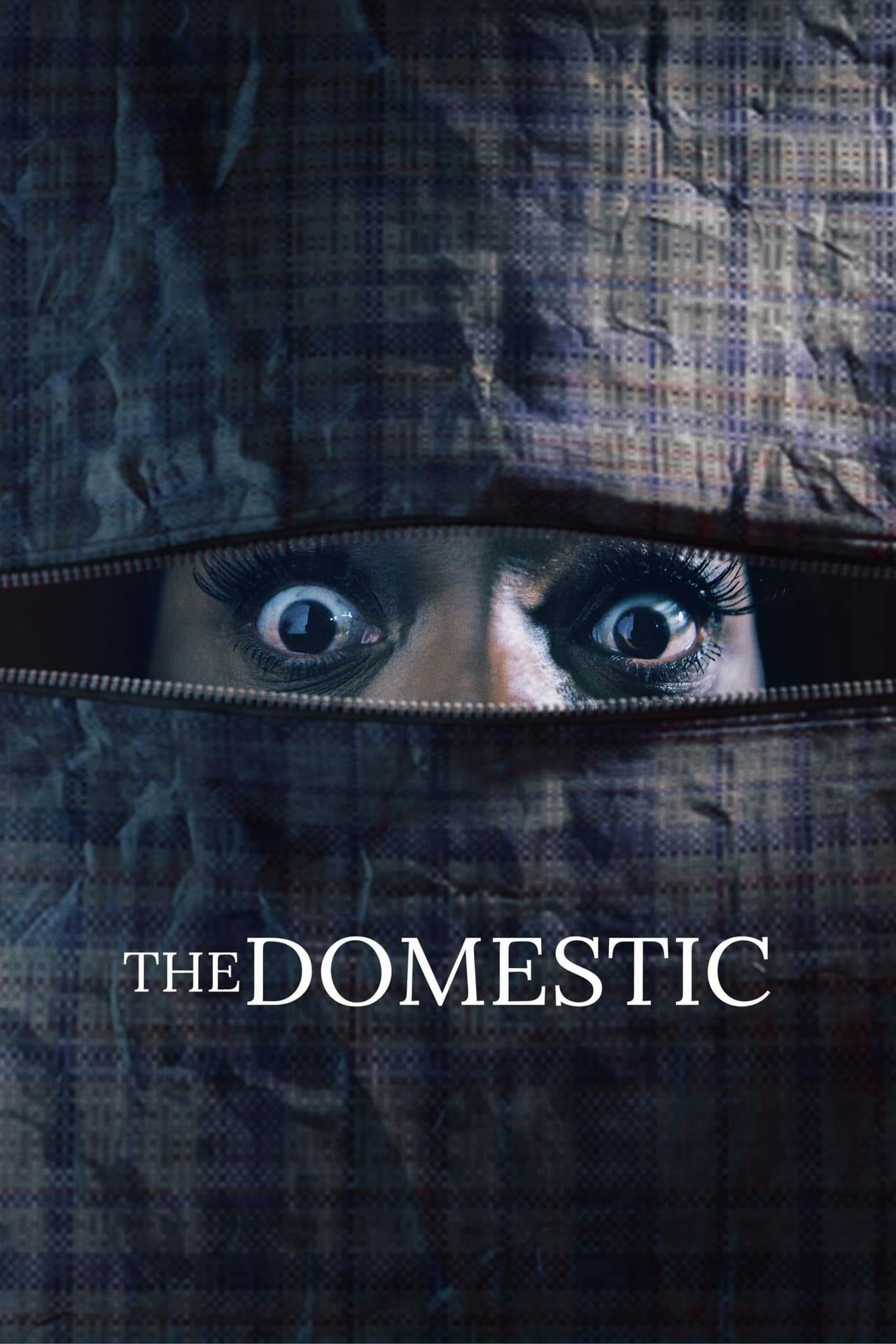 Assistir The Domestic Online em HD