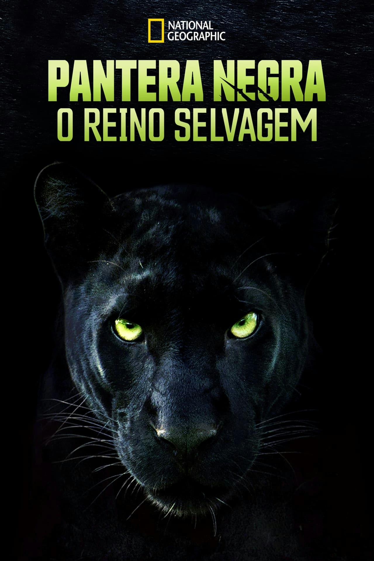 Assistir Pantera Negra: O Reino Selvagem Online em HD