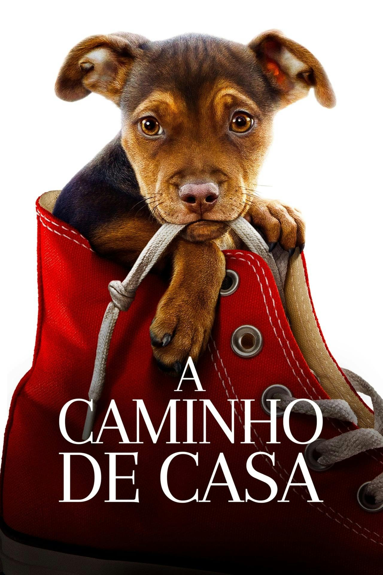 Assistir A Caminho de Casa Online em HD