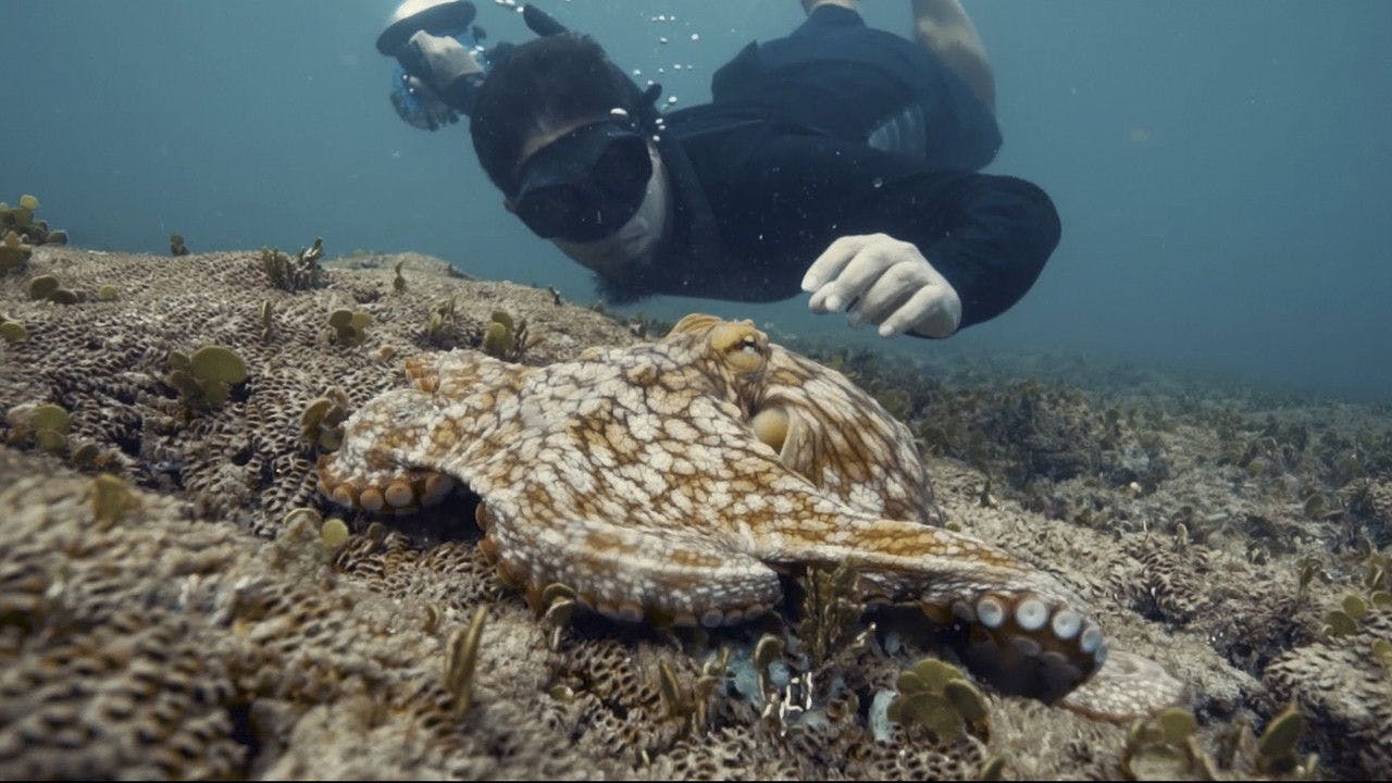 assista ao episódio 1 da temporada 1