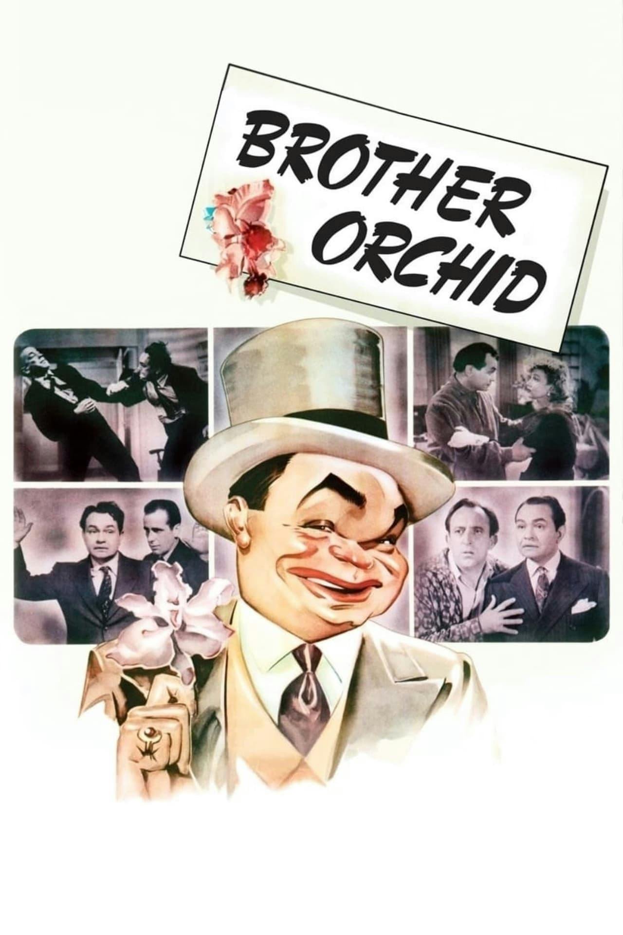 Assistir Irmão Orquídea Online em HD