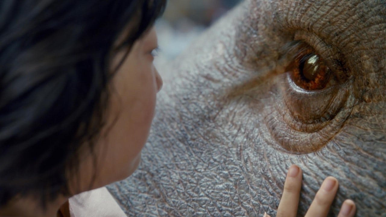 Okja assista online