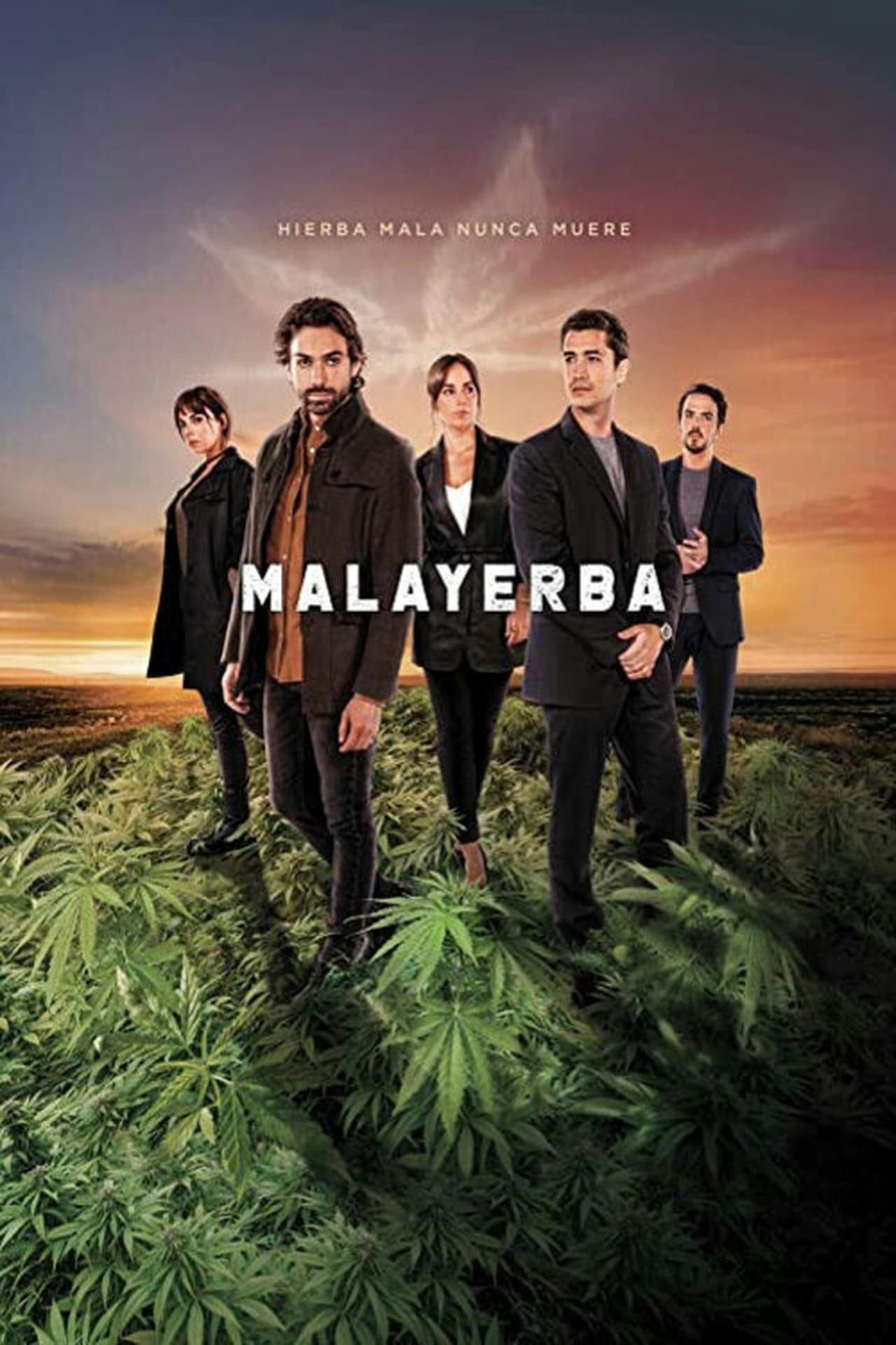 Assistir MalaYerba Online em HD