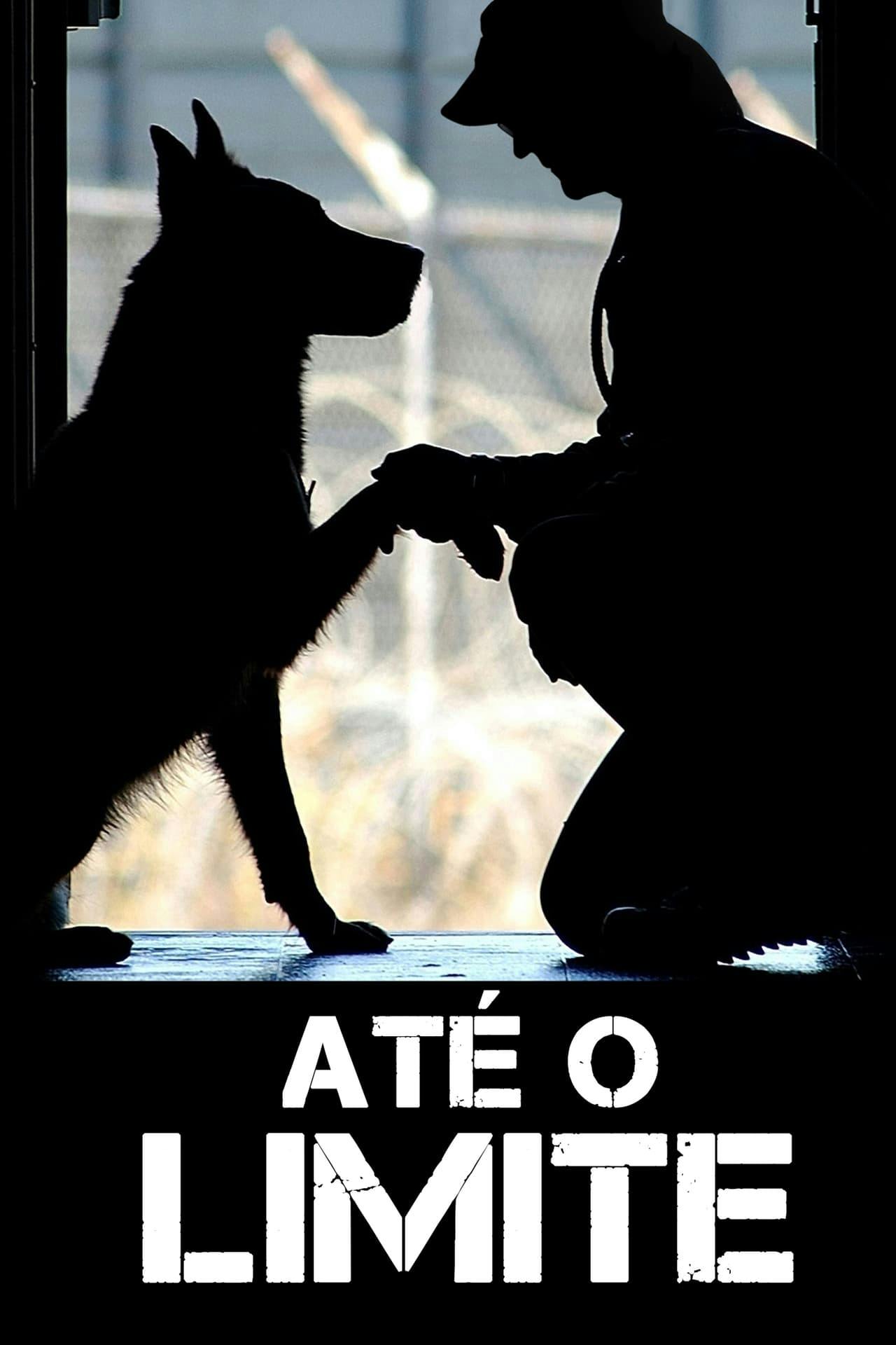 Assistir Até o Limite Online em HD