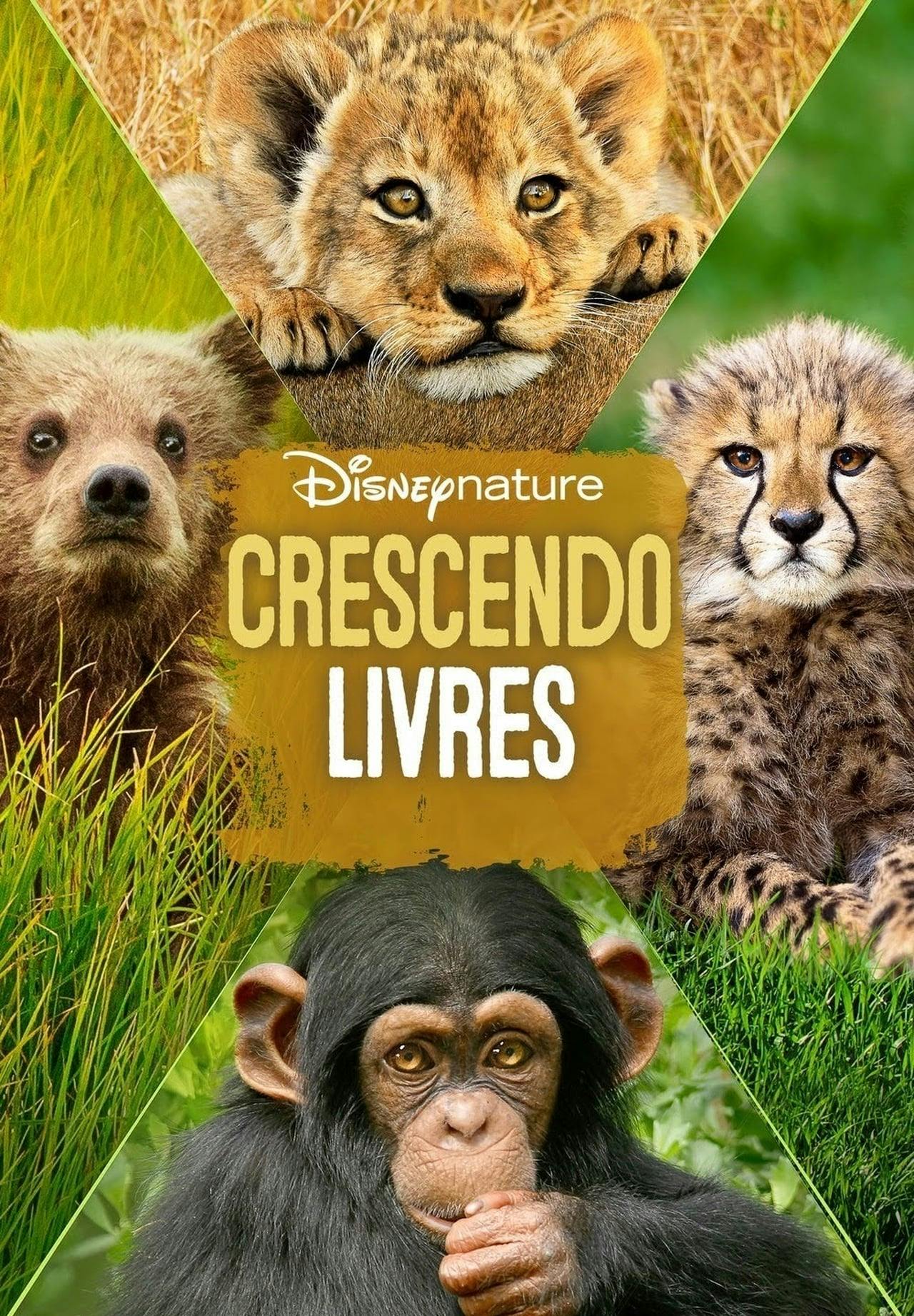 Assistir Crescendo Livres Online em HD