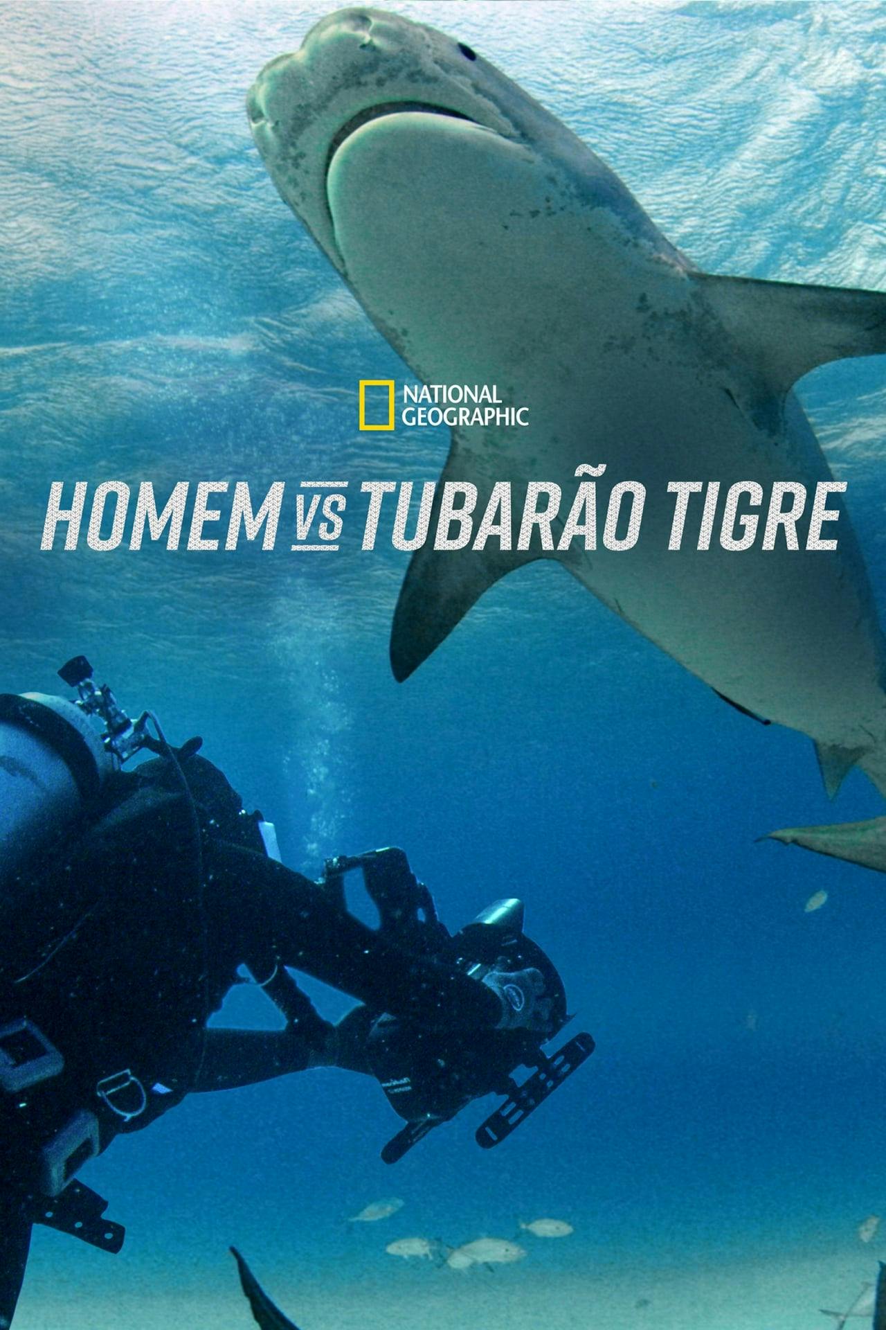 Assistir Homem vs Tubarão Tigre Online em HD