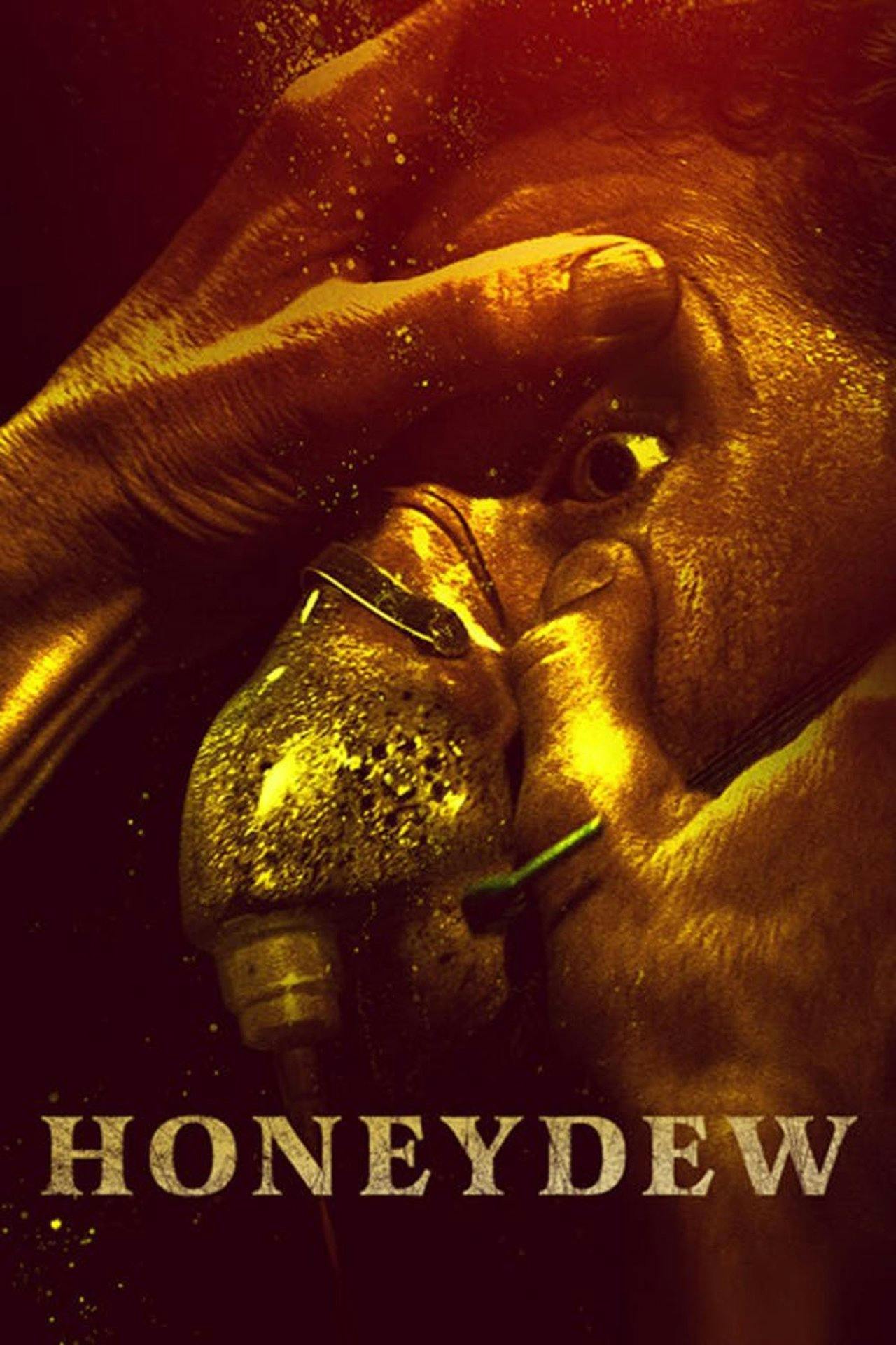 Assistir Honeydew Online em HD