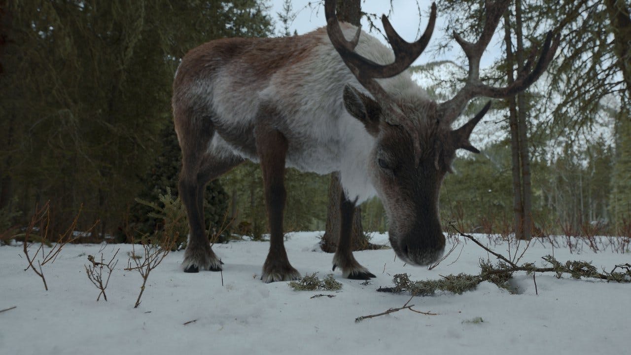 assista ao episódio 9 da temporada 1