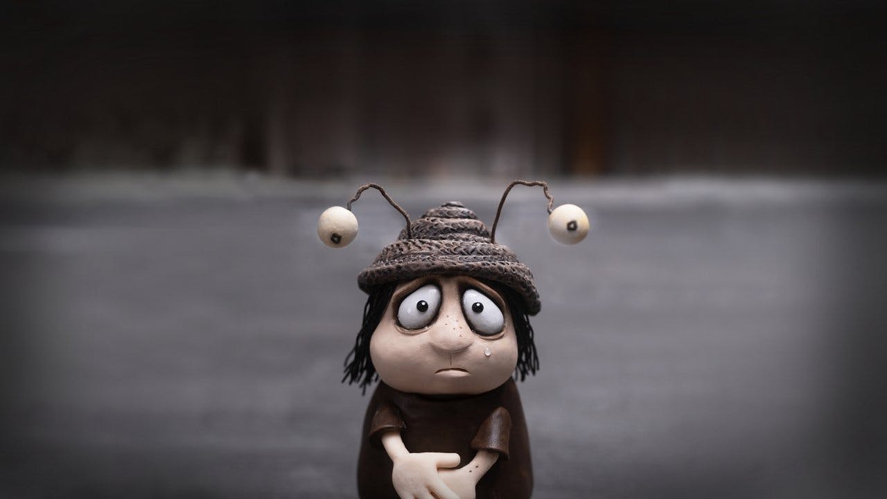 Memórias de um Caracol