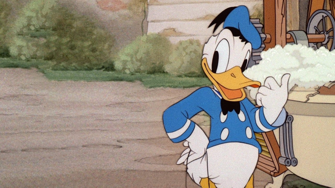 Lavanderia de Cachorros do Donald